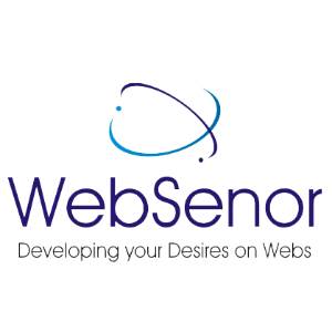 Websenor Infotech Websenor Infotech